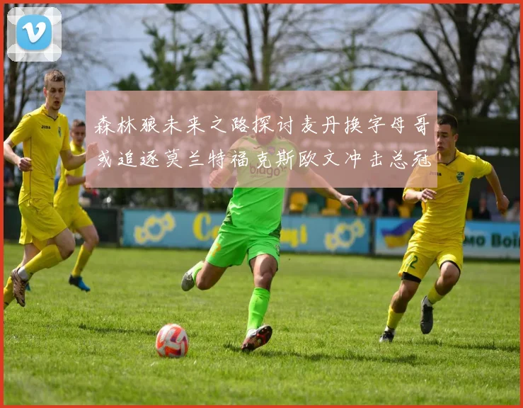 森林狼未来之路探讨麦丹换字母哥或追逐莫兰特福克斯欧文冲击总冠军